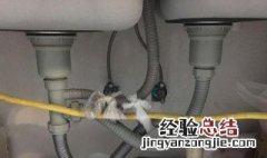 厨房下水道往上冒脏水 洗菜池下水道的水为什么往上冒