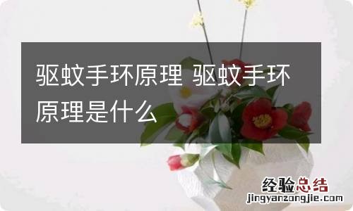 驱蚊手环原理 驱蚊手环原理是什么