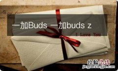 一加Buds 一加buds z