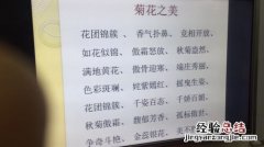 棵字可以组什么词