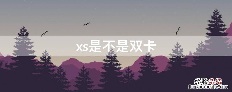 xs是不是双卡双待 xs是不是双卡