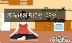 苏先锋网名打分108分