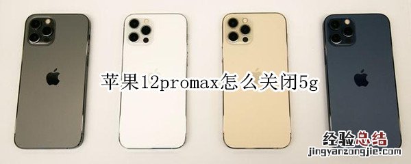 苹果12promax怎么关闭5g