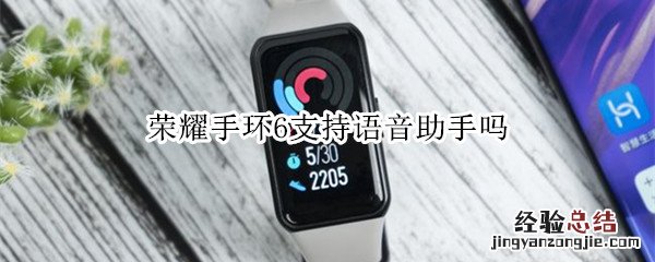 荣耀手环6支持语音助手吗