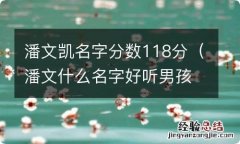 潘文什么名字好听男孩 潘文凯名字分数118分