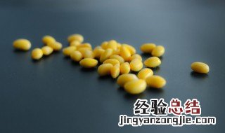 自己在家用黄豆长豆芽 在家怎么长黄豆芽