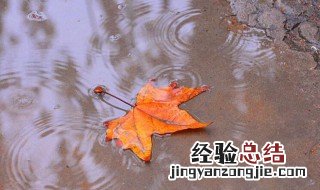 大年初七下雨意味什么 正月初七下雨意味什么