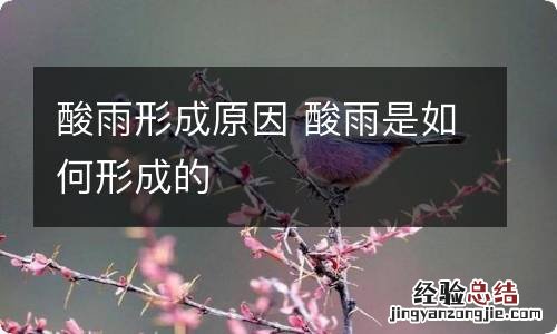 酸雨形成原因 酸雨是如何形成的