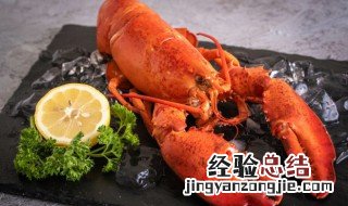 龙虾咋清洗干净 龙虾要怎么清洗才能干净