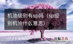 sp级别机油什么意思 机油级别有sp吗