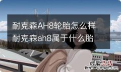 耐克森AH8轮胎怎么样 耐克森ah8属于什么胎