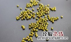 绿豆怎么发豆芽 绿豆怎么发豆芽的步骤