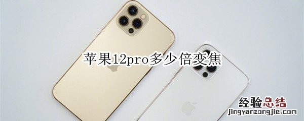 苹果12pro多少倍变焦