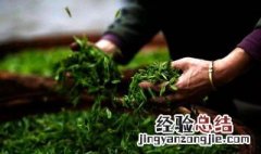 自己采摘茶叶的心情短语 摘茶叶太快乐了