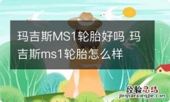 玛吉斯MS1轮胎好吗 玛吉斯ms1轮胎怎么样