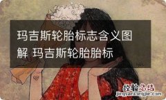 玛吉斯轮胎标志含义图解 玛吉斯轮胎胎标