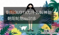 朝阳SU318为什么叫神胎 朝阳轮胎su318