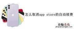 怎么取消app store的自动续费