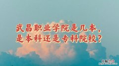 专科是什么本科又是什么