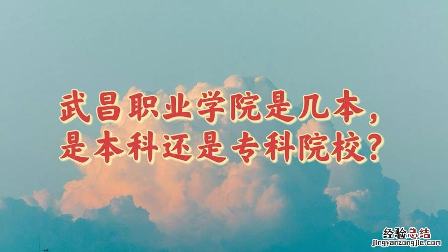 专科是什么本科又是什么