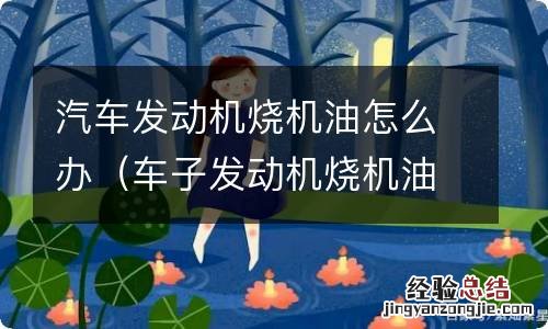 车子发动机烧机油怎么办 汽车发动机烧机油怎么办