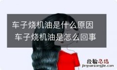 车子烧机油是什么原因 车子烧机油是怎么回事