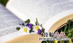 十字情话最暖心短句表白 十字以内的情话