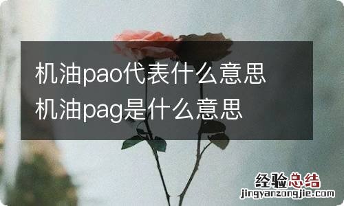 机油pao代表什么意思 机油pag是什么意思