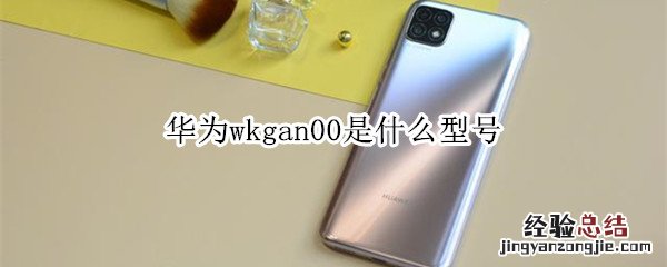 华为wkgan00是什么型号