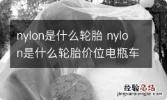 nylon是什么轮胎 nylon是什么轮胎价位电瓶车