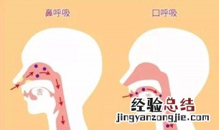 怎么样判断孩子是不是用嘴呼吸 判断孩子是不是用嘴呼吸的方法