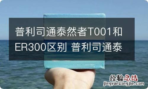 普利司通泰然者T001和ER300区别 普利司通泰然者er300和t005l