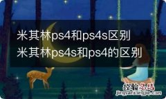 米其林ps4和ps4s区别 米其林ps4s和ps4的区别