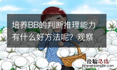 培养BB的判断推理能力有什么好方法呢?观察认知