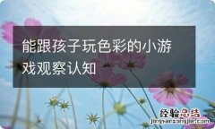 能跟孩子玩色彩的小游戏观察认知