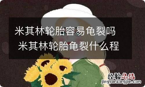 米其林轮胎容易龟裂吗 米其林轮胎龟裂什么程度需要换图