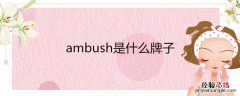 ambush是什么牌子