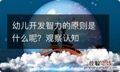 幼儿开发智力的原则是什么呢？观察认知