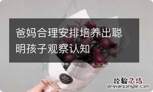 爸妈合理安排培养出聪明孩子观察认知