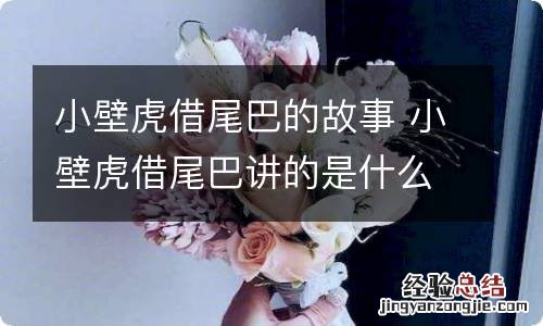 小壁虎借尾巴的故事 小壁虎借尾巴讲的是什么