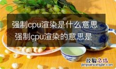 强制cpu渲染是什么意思 强制cpu渲染的意思是啥