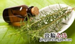 山茶油保质期是多久 山茶油的保质期是多久