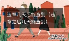 违章之后几天能查到 违章几天后能查到