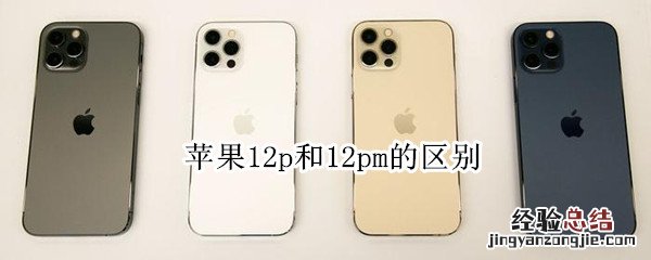 苹果12p和12pm的区别