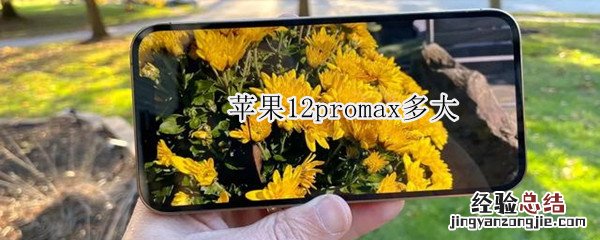 苹果12promax多大