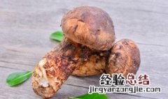 松茸和松茸干有什么区别 新鲜松茸和干松茸区别是什么