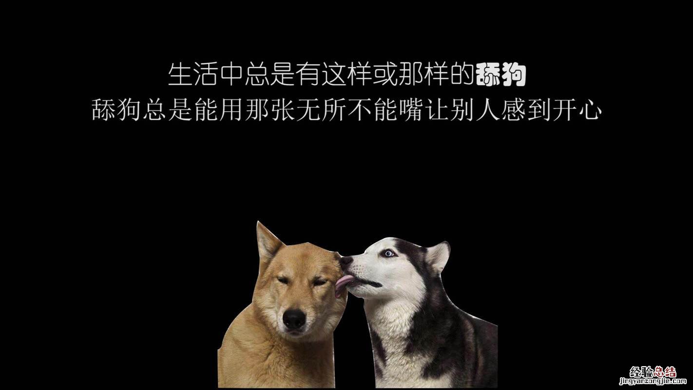 舔狗是什么的意思