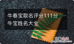 牛春宝取名评分111分 牛宝姓名大全