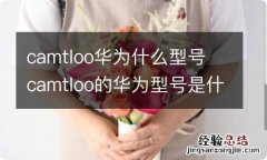 camtloo华为什么型号 camtloo的华为型号是什么