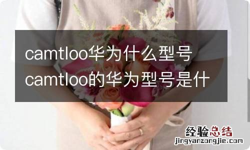 camtloo华为什么型号 camtloo的华为型号是什么